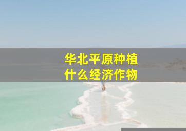 华北平原种植什么经济作物