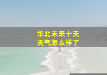 华北未来十天天气怎么样了