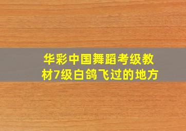 华彩中国舞蹈考级教材7级白鸽飞过的地方