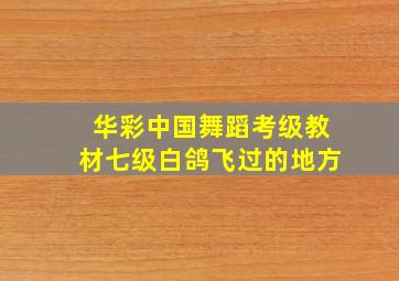 华彩中国舞蹈考级教材七级白鸽飞过的地方