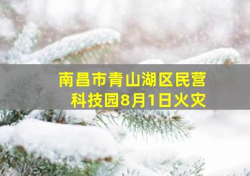 南昌市青山湖区民营科技园8月1日火灾