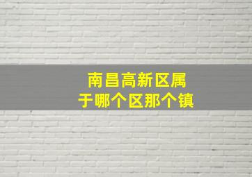 南昌高新区属于哪个区那个镇