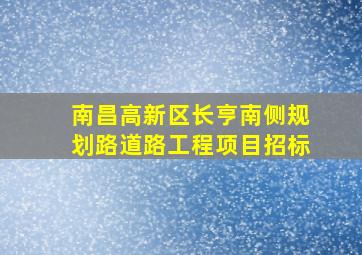 南昌高新区长亨南侧规划路道路工程项目招标