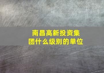 南昌高新投资集团什么级别的单位