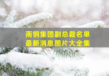 南钢集团副总裁名单最新消息图片大全集