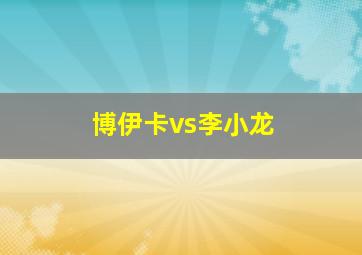 博伊卡vs李小龙