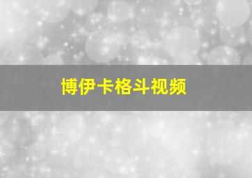 博伊卡格斗视频