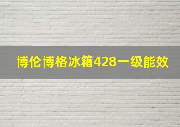 博伦博格冰箱428一级能效