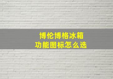 博伦博格冰箱功能图标怎么选