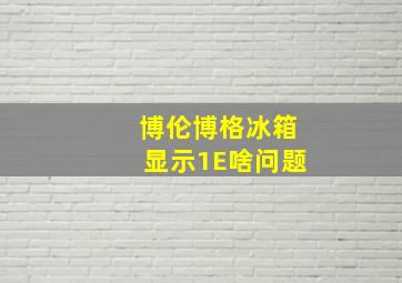 博伦博格冰箱显示1E啥问题