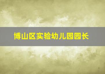 博山区实验幼儿园园长