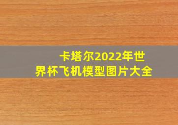 卡塔尔2022年世界杯飞机模型图片大全