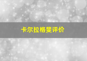 卡尔拉格斐评价