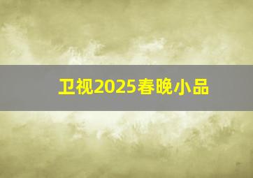 卫视2025春晚小品