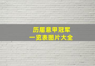 历届意甲冠军一览表图片大全