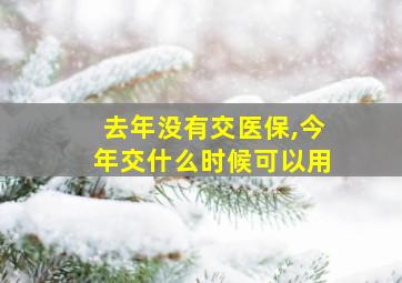 去年没有交医保,今年交什么时候可以用