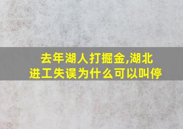 去年湖人打掘金,湖北进工失误为什么可以叫停