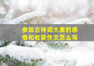 参加古诗词大赛的感悟和收获作文怎么写