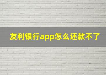 友利银行app怎么还款不了