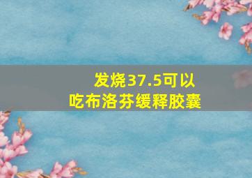 发烧37.5可以吃布洛芬缓释胶囊