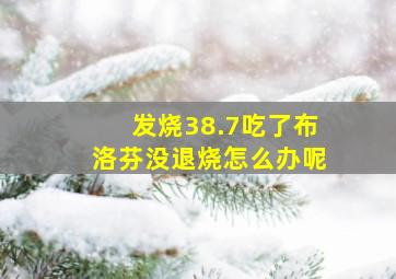 发烧38.7吃了布洛芬没退烧怎么办呢