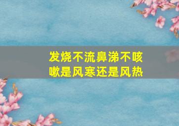 发烧不流鼻涕不咳嗽是风寒还是风热