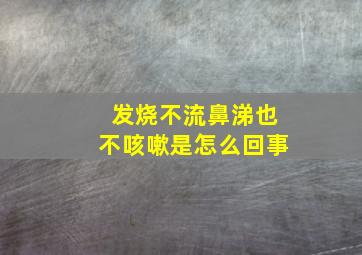 发烧不流鼻涕也不咳嗽是怎么回事