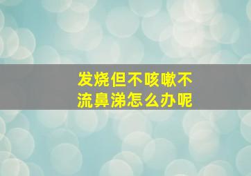 发烧但不咳嗽不流鼻涕怎么办呢