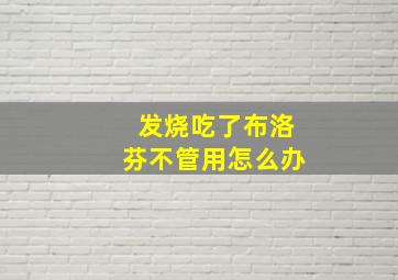 发烧吃了布洛芬不管用怎么办