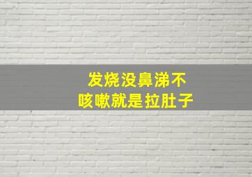 发烧没鼻涕不咳嗽就是拉肚子