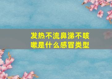 发热不流鼻涕不咳嗽是什么感冒类型