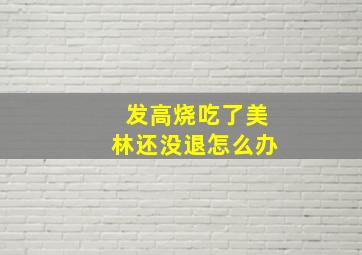 发高烧吃了美林还没退怎么办