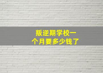 叛逆期学校一个月要多少钱了