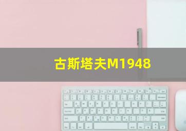 古斯塔夫M1948