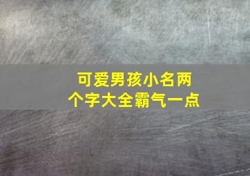 可爱男孩小名两个字大全霸气一点