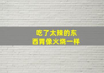 吃了太辣的东西胃像火烧一样