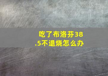 吃了布洛芬38.5不退烧怎么办