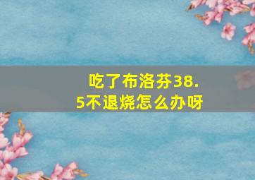 吃了布洛芬38.5不退烧怎么办呀