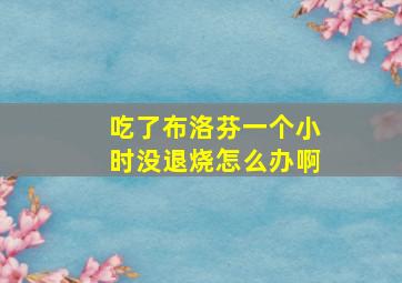 吃了布洛芬一个小时没退烧怎么办啊