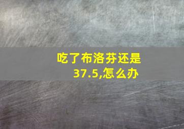 吃了布洛芬还是37.5,怎么办