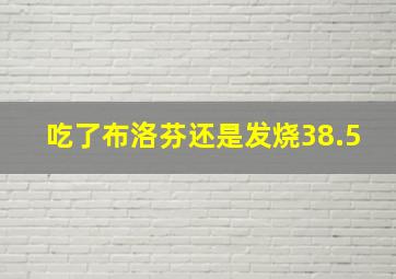 吃了布洛芬还是发烧38.5