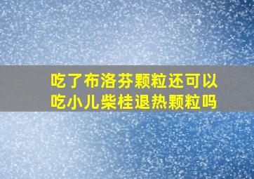 吃了布洛芬颗粒还可以吃小儿柴桂退热颗粒吗