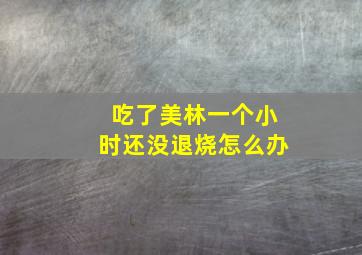 吃了美林一个小时还没退烧怎么办