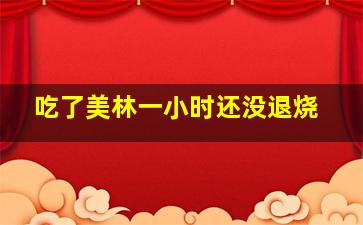 吃了美林一小时还没退烧