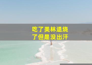 吃了美林退烧了但是没出汗