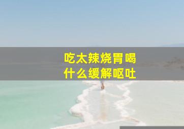 吃太辣烧胃喝什么缓解呕吐