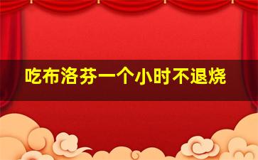 吃布洛芬一个小时不退烧