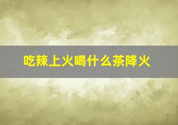 吃辣上火喝什么茶降火