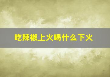 吃辣椒上火喝什么下火