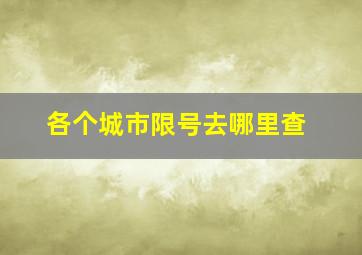 各个城市限号去哪里查